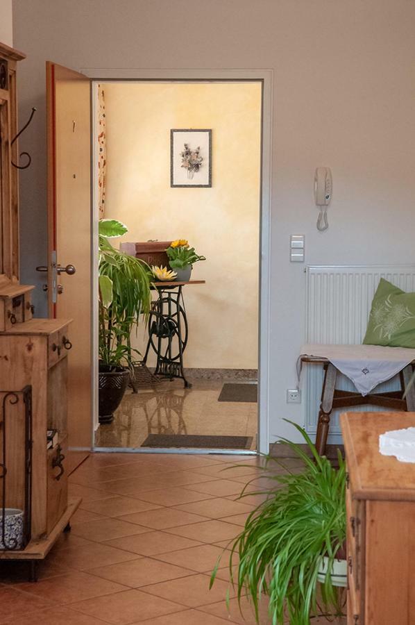 Pension Hiesel-Villa Untersbergblick Anthering Ngoại thất bức ảnh