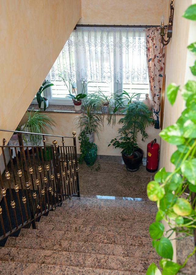 Pension Hiesel-Villa Untersbergblick Anthering Ngoại thất bức ảnh